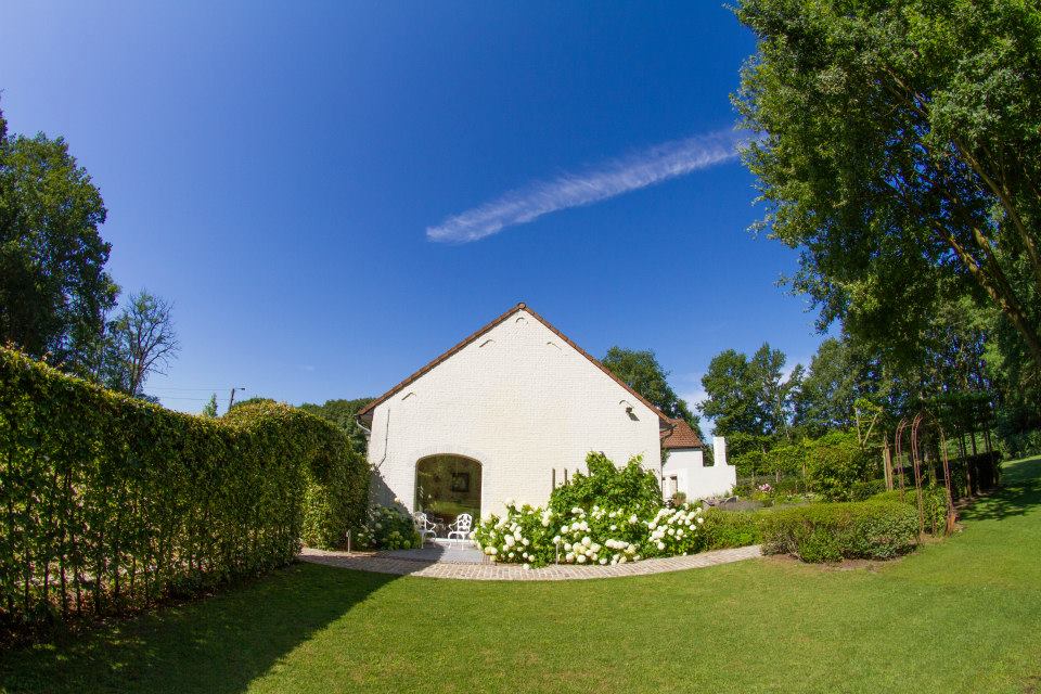 1377381 223036524528037 98076663 N