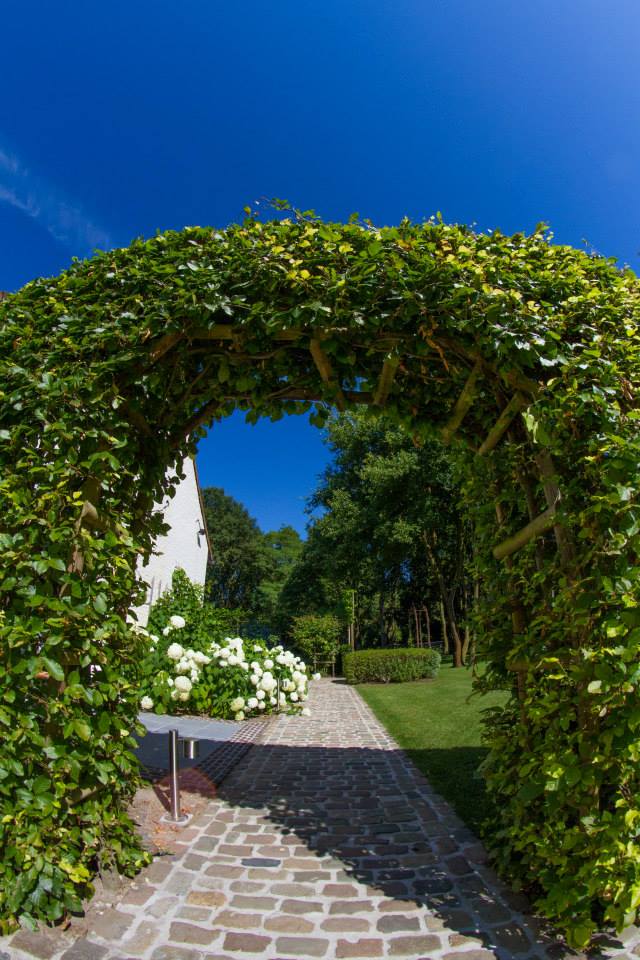 1381259 223036554528034 1337034197 N