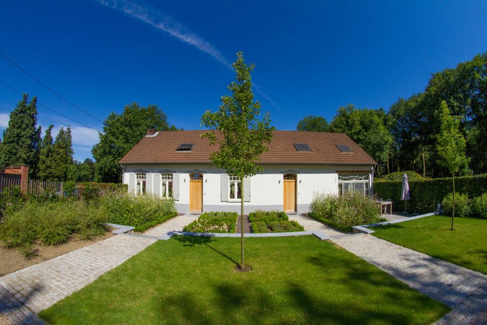 1395902 223036534528036 1817058486 N